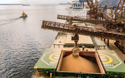 Portos do Paraná registram em agosto maior movimentação em um mês