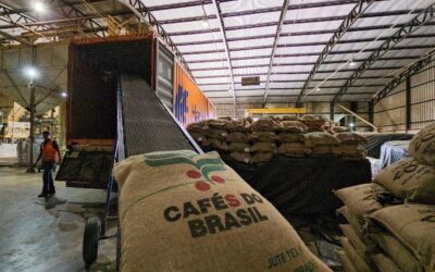 Exportações de café do Brasil recuam 17,5% em agosto, mas receita cresce 12,7%