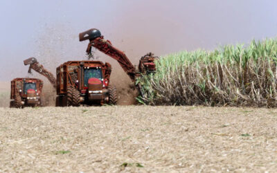 Diversificação dá resiliência ao agro paulista, diz secretário de SP